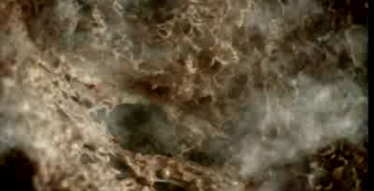 Вред курения - кислота для лёгких