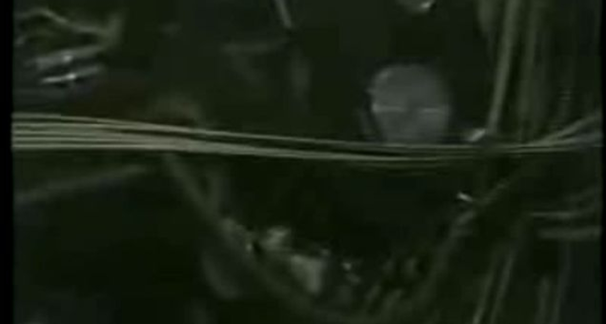 Робот играет на синтезаторе