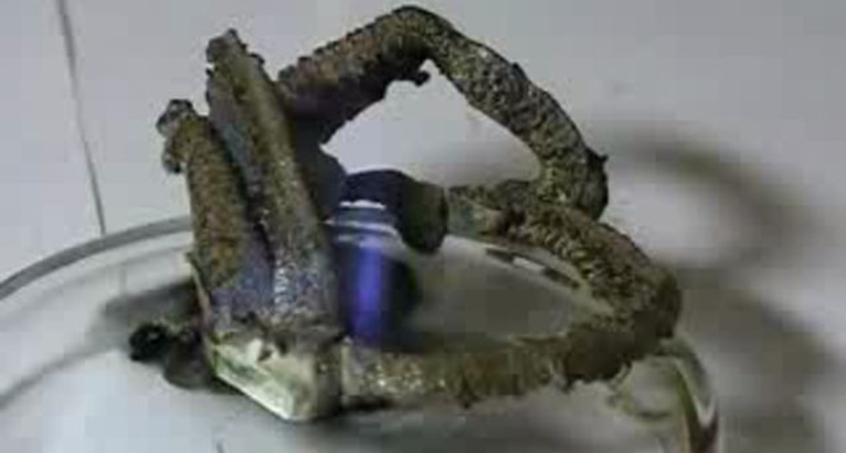 Прикольная химическая реакция