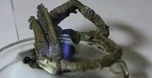 Прикольная химическая реакция