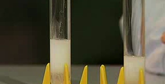 Отличия сульфатов и сульфитов