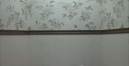 Мир ремонта - Выбор материалов для стен