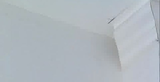 Мир ремонта - установка бордюра