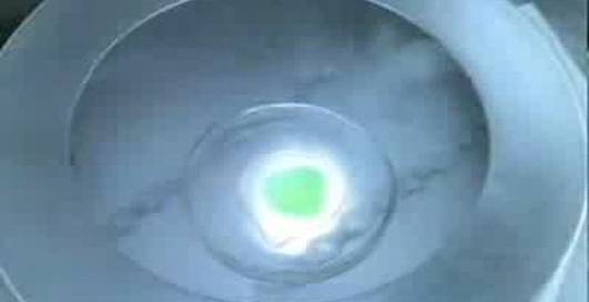 Пиво как мутаген