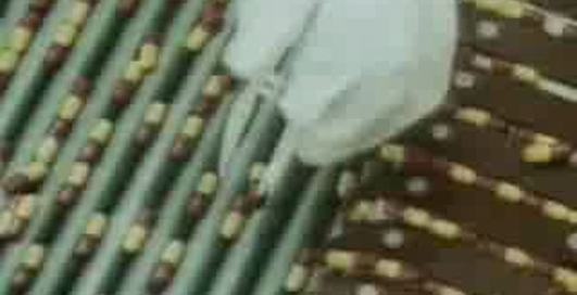 Трансгенизация - генетическая бомба