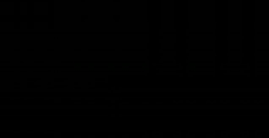 Демонстрация замка