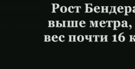 Моддинг в стиле Футурама