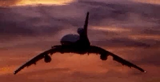 Самолёт - птица