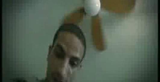 Ноги Кенгуру