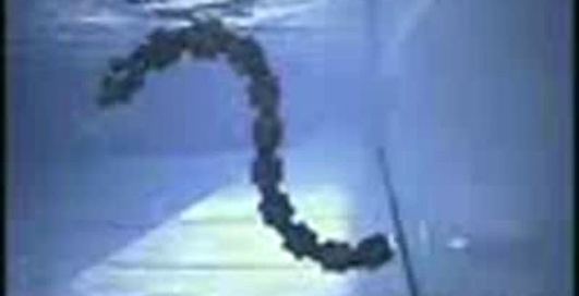 Робот - змея