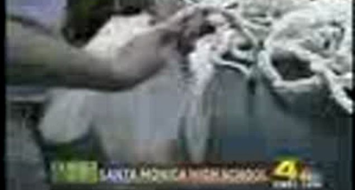 Плот из пластиковых бутылок