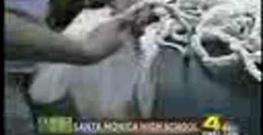 Плот из пластиковых бутылок