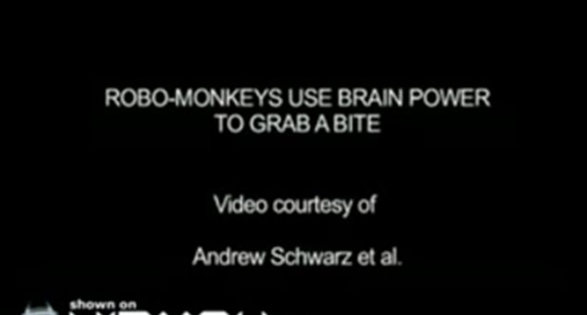 Мартышка и рука