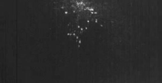 Мыльный пузырь