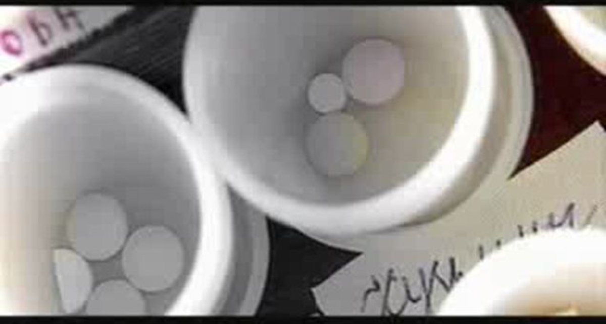 Женский алкоголизм