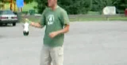 Ментос и Кола