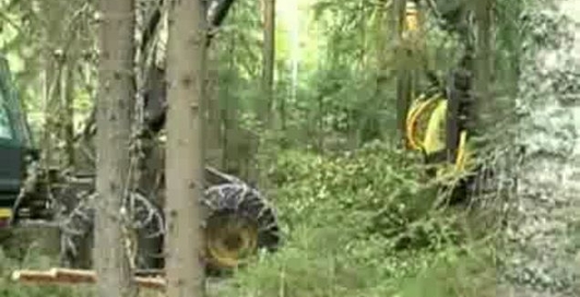 AFM на колесных харвестерах