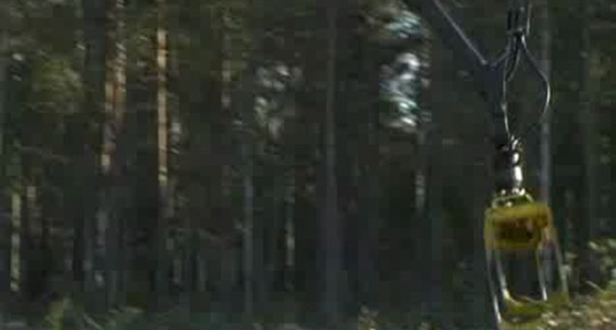 Форвардер Logman