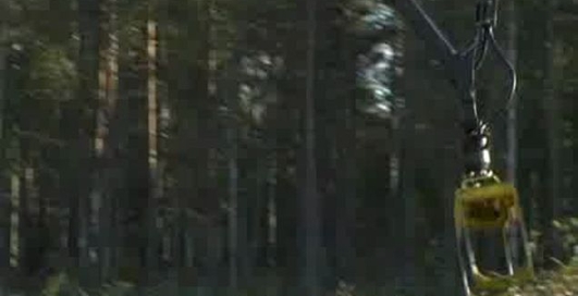 Форвардер Logman