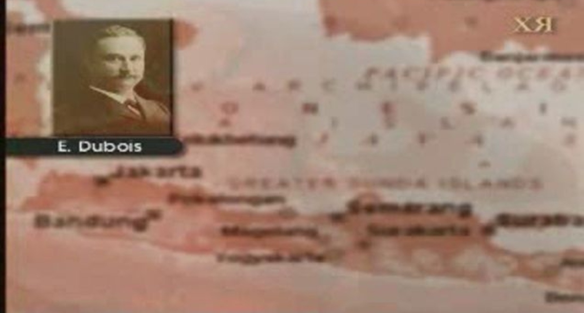 Теория Дарвина ч.1