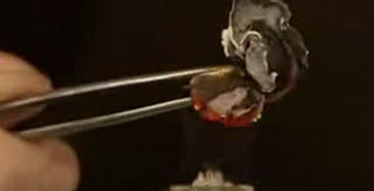 Маленький опыт (С глюконатом кальция)