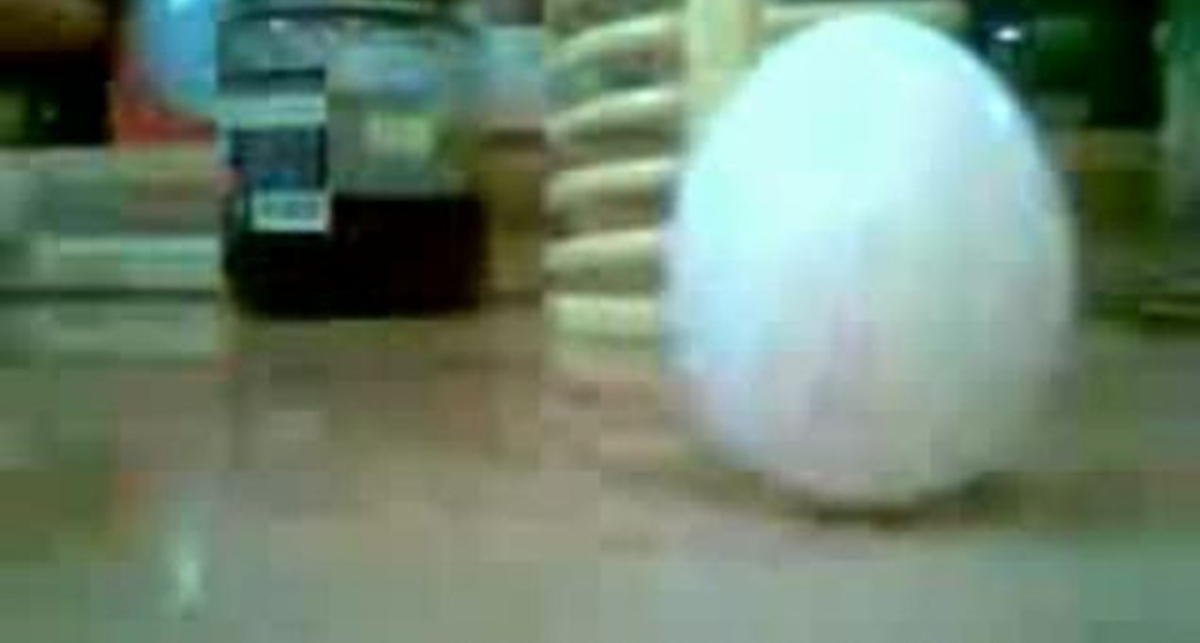 Как заставить стоять яйца?