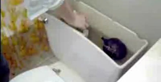 Переделай свой унитаз