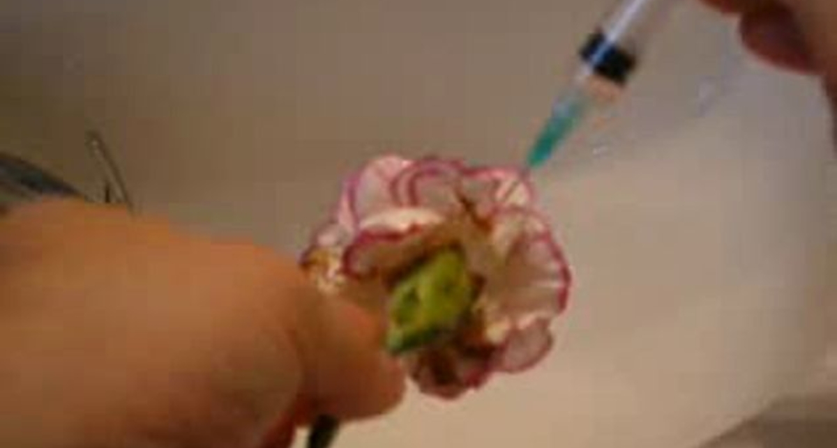 Светящиеся цветы