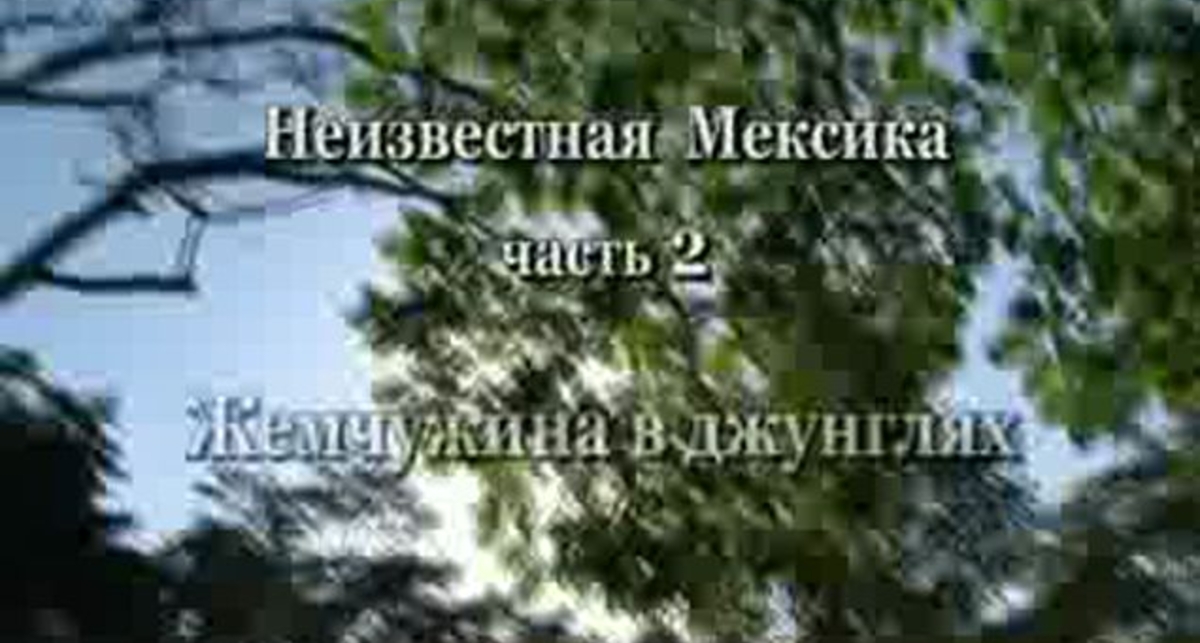 Запретные темы истории (фильм 2)