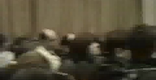 Дмитрий Махно - Стратегия тестирования