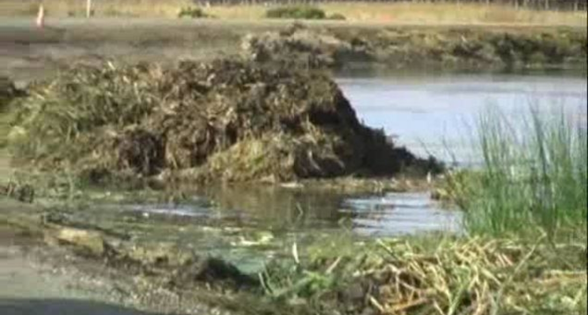 Шесть дюймов под килем