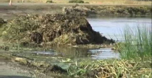 Шесть дюймов под килем