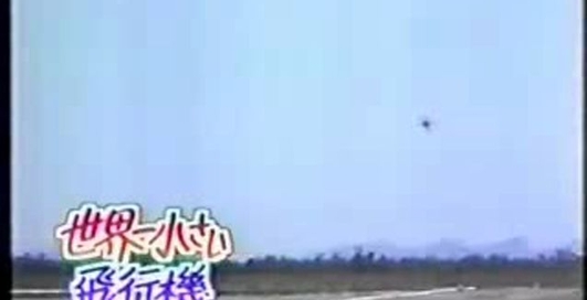 Самый маленький в мире самолет-биплан Bumble Bee