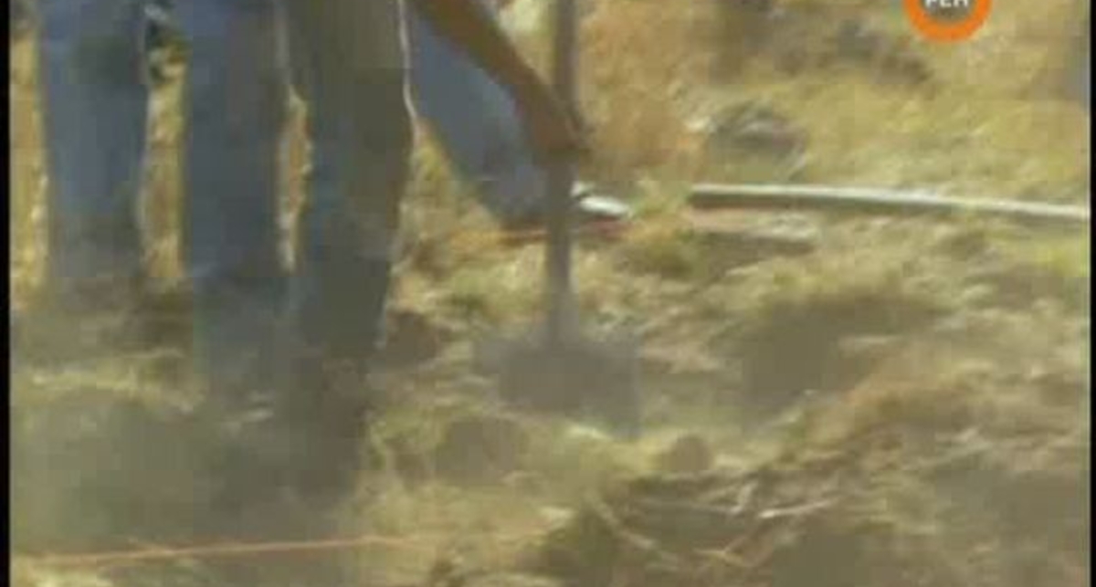 Ложь во имя науки