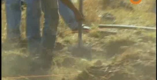 Ложь во имя науки