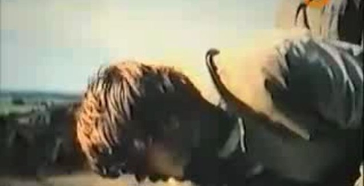 Аркаим. Стоящий у солнца (2008)