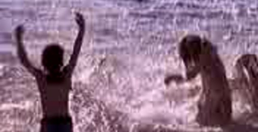 Гражданин и Земля