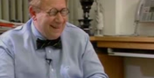 Клонирование Человека: Игра в Бога