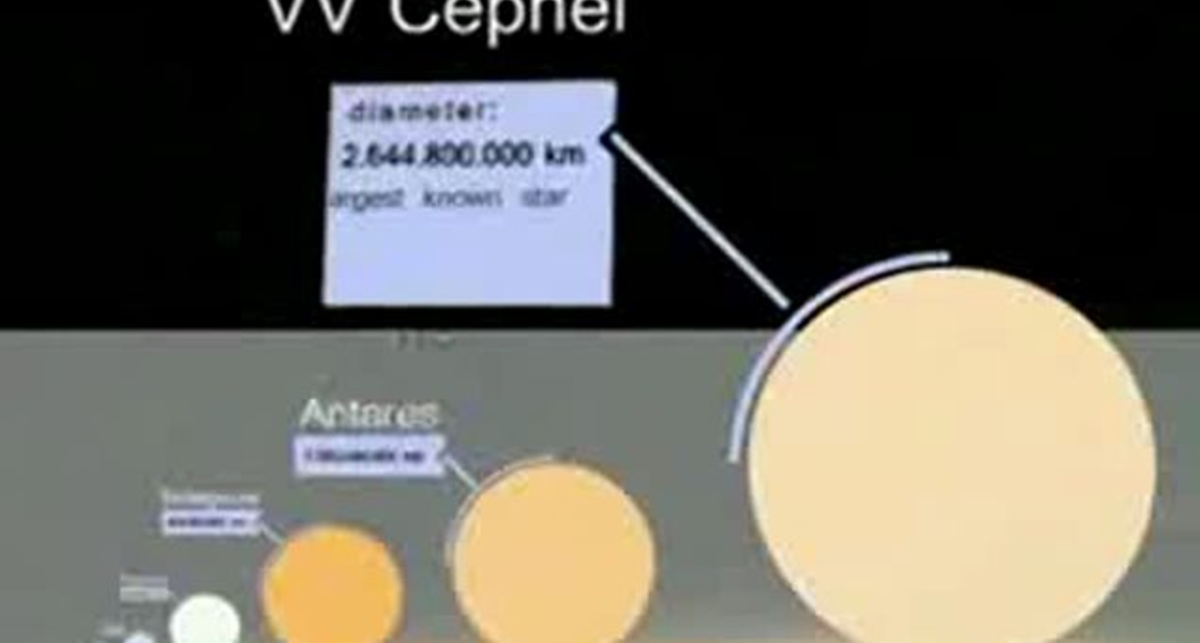 Наглядная демонстрация существующих размеров звёзд