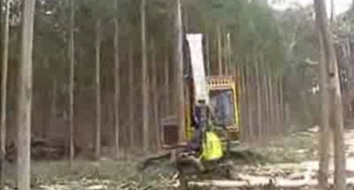 Убийца природы