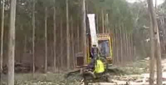 Убийца природы