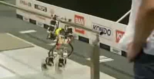 битва роботов