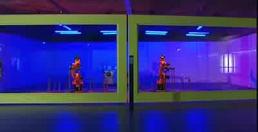 Рободиджеи