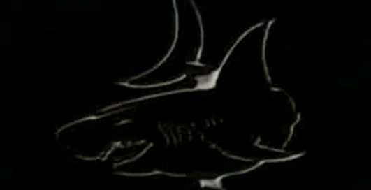 Попадание торпеды