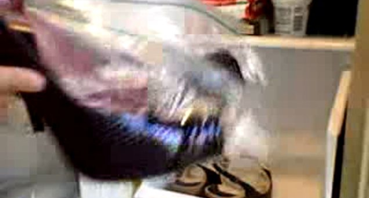 Туфли со льдом