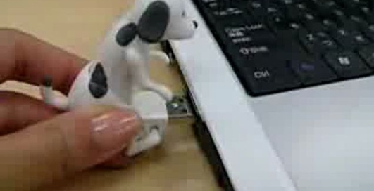 Собачка-флешка