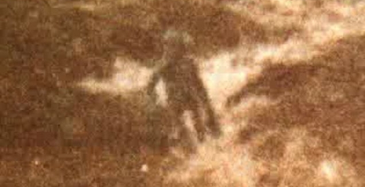 Инопланетяне