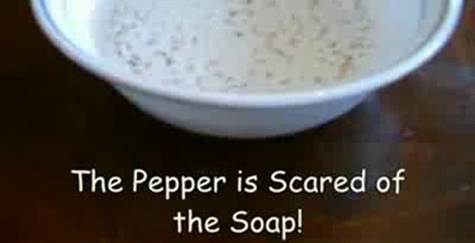 Перец и жидкое мыло