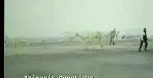 Скульптуры Theo Jansen - часть 3