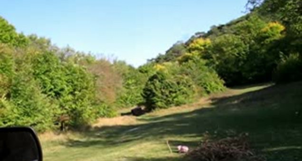 НЛО кишат в Крыму